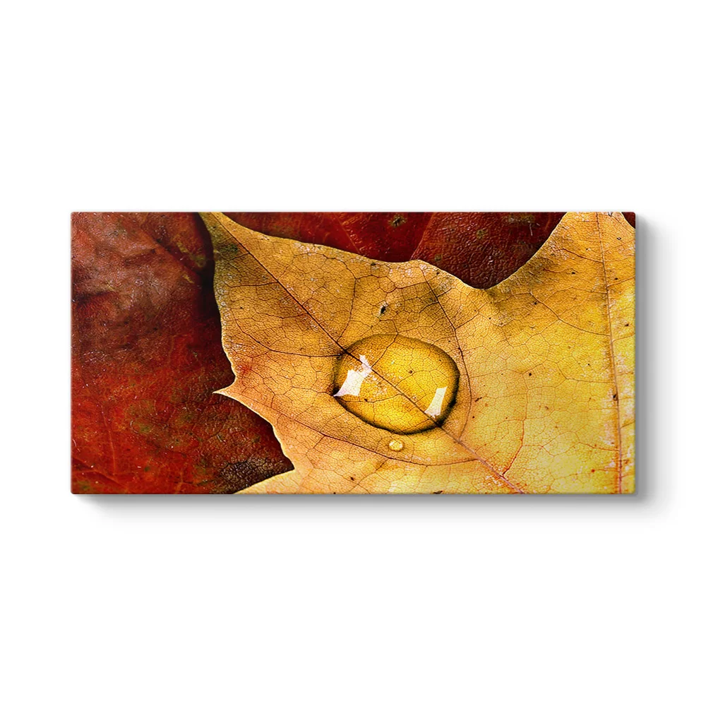 Leaves Drop Tablosu - Model 5